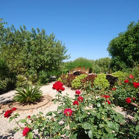Pedregal Holiday home Marratxi